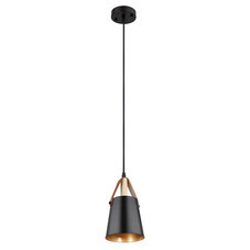 Светильник подвесной Arte Lamp Thomas E27 60 Вт 2 кв.м черный IP20 (A7032SP-1BK)