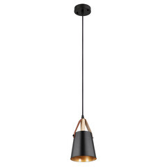 Светильник подвесной Arte Lamp Thomas E27 60 Вт 2 кв.м черный IP20 (A7032SP-1BK)