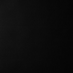 Ковролин бытовой ФлорТ Экспо черный 2 м