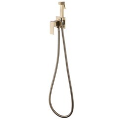 Смеситель с гигиеническим душем встраиваемый Abber Daheim со скрытой частью в комплекте золото (AF8226G)