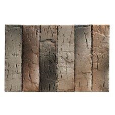 Кирпич облицовочный пустотелый бежевый/темно-серый Pro 14.04.1 М150/200 250х120х65 мм 1NF Braer