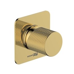 Смеситель для душа встраиваемый WasserKraft Ems однорычажный с переключателем без лейки золото (7651)