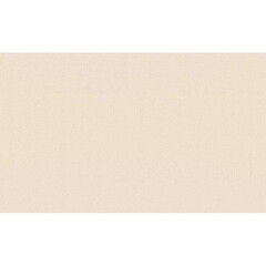 Обои компакт-винил на флизелиновой основе Palitra Home Lino HC72561-27 (1,06х10,05 м)