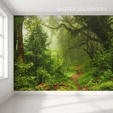 Фотообои Фотообойкин Лес Pt-045_4 (4х2,7 м)