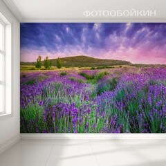 Фотообои Фотообойкин Лавандовое поле Pt-039_4 (4х2,7 м)