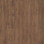 Imago