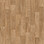 Sand Oak