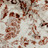 Фото 5
