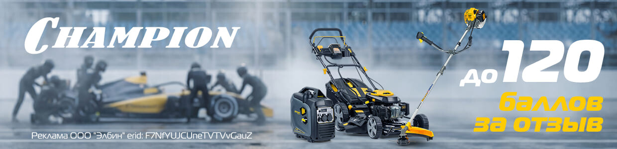 Баллы за отзыв Champion