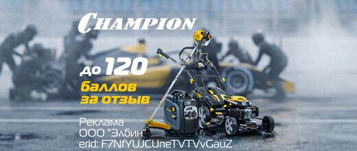 Баллы за отзыв Champion