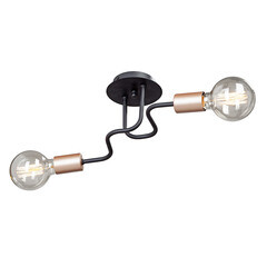 Изображение товара Люстра потолочная Vitaluce V4560 E27 120 Вт 6 кв.м (V4560-1/2PL)