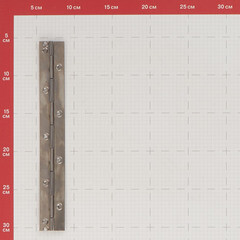 Петля рояльная без покрытия 250 мм - фото 3