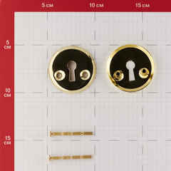 Ключевина 2014 круглая розетка золото - фото 2