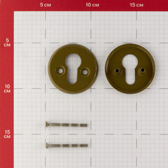 Ключевина 2018 круглая розетка фисташка - фото 2