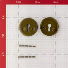 Ключевина 2014 круглая розетка фисташка - фото 2