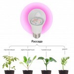 Лампы для растений, брудеров и террариумов