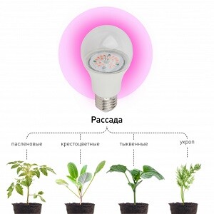 Светильники для растений