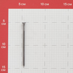 Гвозди строительные 4,0x100 мм (1 кг) - фото 2