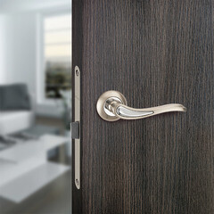 Ручка дверная Punto Salsa круглая розетка матовый никель/хром - фото 3