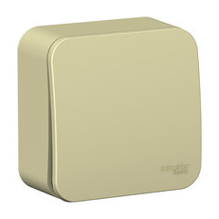 Выключатель Systeme Electric Blanca одноклавишный накладной бежевый (BLNVA101017) - фото 1