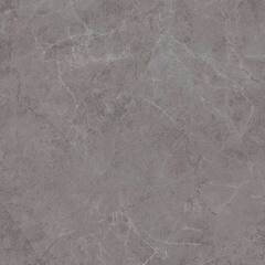 Керамогранит Kerama Marazzi ГРАН ПАЛЕ 50,2х50,2 серый обрезной (2 сорт)