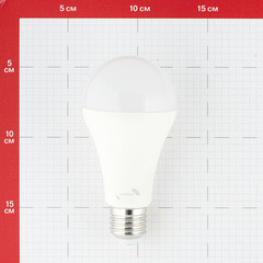 Лампа светодиодная Hesler E27 4000К 18 Вт 1710 Лм 230 В груша А65 матовая - фото 2