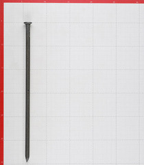 Гвозди строительные 8,0x300 мм (1 кг) - фото 2