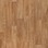 Sand Oak