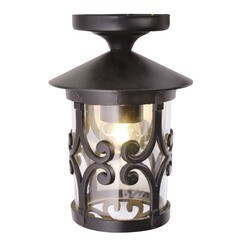 Светильник уличный потолочный Arte Lamp E27 100 Вт 220 В IP44 (A1453PF-1BK)
