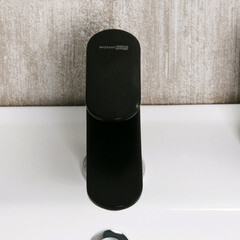 Смеситель для раковины WasserKraft Elbe однорычажный черный (7403) - фото 2