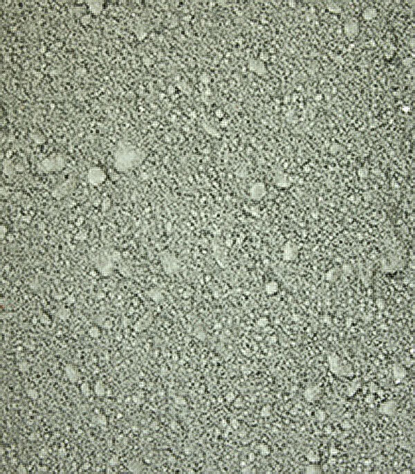 Изображение товара Кембрийская голубая глина 40 кг для строительства и творчества