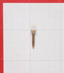 Саморезы универсальные 30x5,0 мм желтые (200 шт.) - фото 2