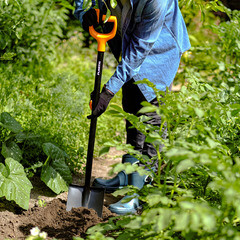 Лопата штыковая Plantic Terra стальная остроугольная садовая с металлическим черенком 900 мм (11005-01) - фото 4