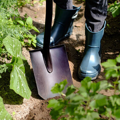 Лопата штыковая Plantic Terra стальная остроугольная садовая с металлическим черенком 900 мм (11005-01) - фото 3