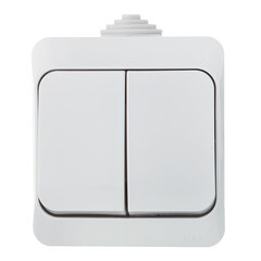 Изображение товара Выключатель Systeme Electric Этюд двухклавишный накладной серый (BA10-042C)