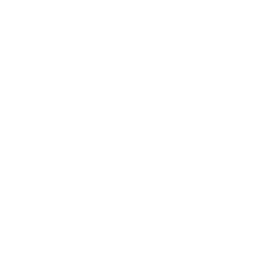 Штора рулонная ARF I-255 78х98 см белая