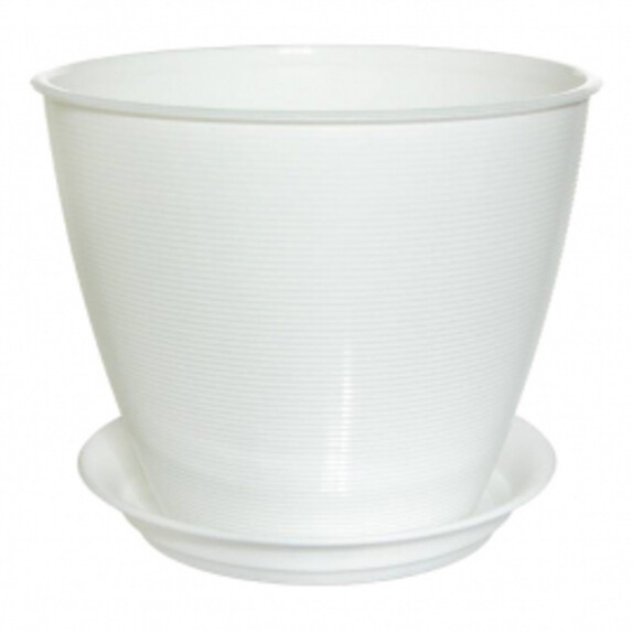 Фото 1
