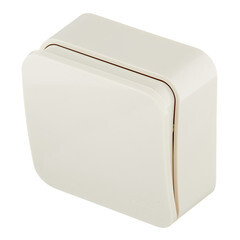 Выключатель Systeme Electric Blanca одноклавишный накладной бежевый с самовозвратом (BLNCA101017) - фото 5