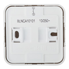 Выключатель Systeme Electric Blanca одноклавишный накладной бежевый с самовозвратом (BLNCA101017) - фото 3