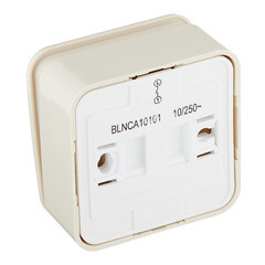Выключатель Systeme Electric Blanca одноклавишный накладной бежевый с самовозвратом (BLNCA101017) - фото 4
