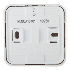 Выключатель Systeme Electric Blanca одноклавишный накладной антрацит с самовозвратом (BLNCA101016) - фото 2