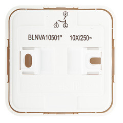 Выключатель Systeme Electric Blanca одноклавишный накладной ясень с самовозвратом (BLNCA101015) - фото 2