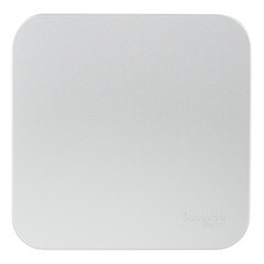 Изображение товара Выключатель Systeme Electric Blanca одноклавишный накладной алюминий с самовозвратом (BLNCA101013)