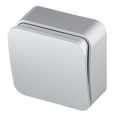 Выключатель Systeme Electric Blanca одноклавишный накладной алюминий с самовозвратом (BLNCA101013) - фото 3