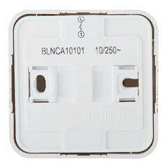 Выключатель Systeme Electric Blanca одноклавишный накладной алюминий с самовозвратом (BLNCA101013) - фото 5