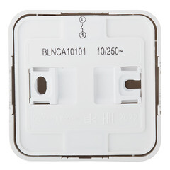 Выключатель Systeme Electric Blanca одноклавишный накладной молочный с самовозвратом (BLNCA101012) - фото 4