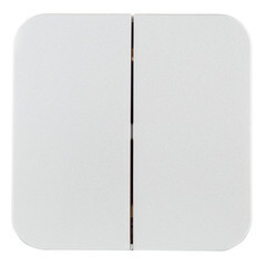 Изображение товара Выключатель Systeme Electric Blanca двухклавишный накладной алюминий (BLNVA105013)