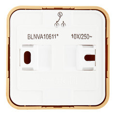 Переключатель Systeme Electric Blanca одноклавишный накладной ясень с подсветкой (BLNVA106115) - фото 3