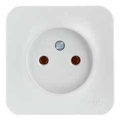 Розетка Systeme Electric Blanca накладная алюминий (BLNRA000113) - фото 1