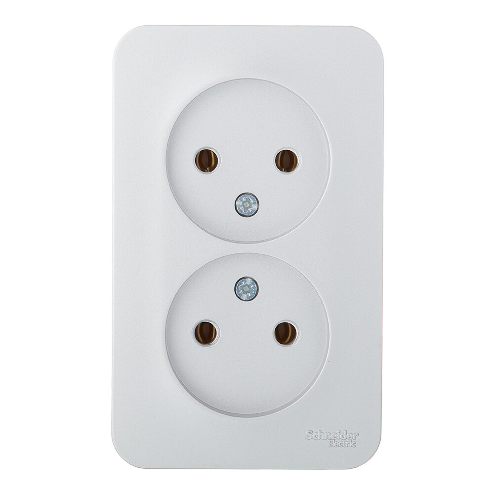 Розетка Systeme Electric Blanca накладная алюминий (BLNRA000213)